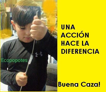 MARES LIMPIOS manada  GRUPO UNO MONCLOVA