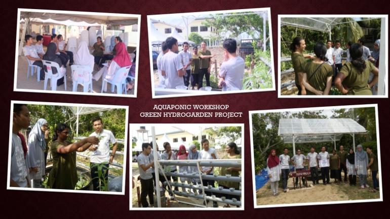 AQUAPONIC WORKSHOP (SWA UPDATE 13)