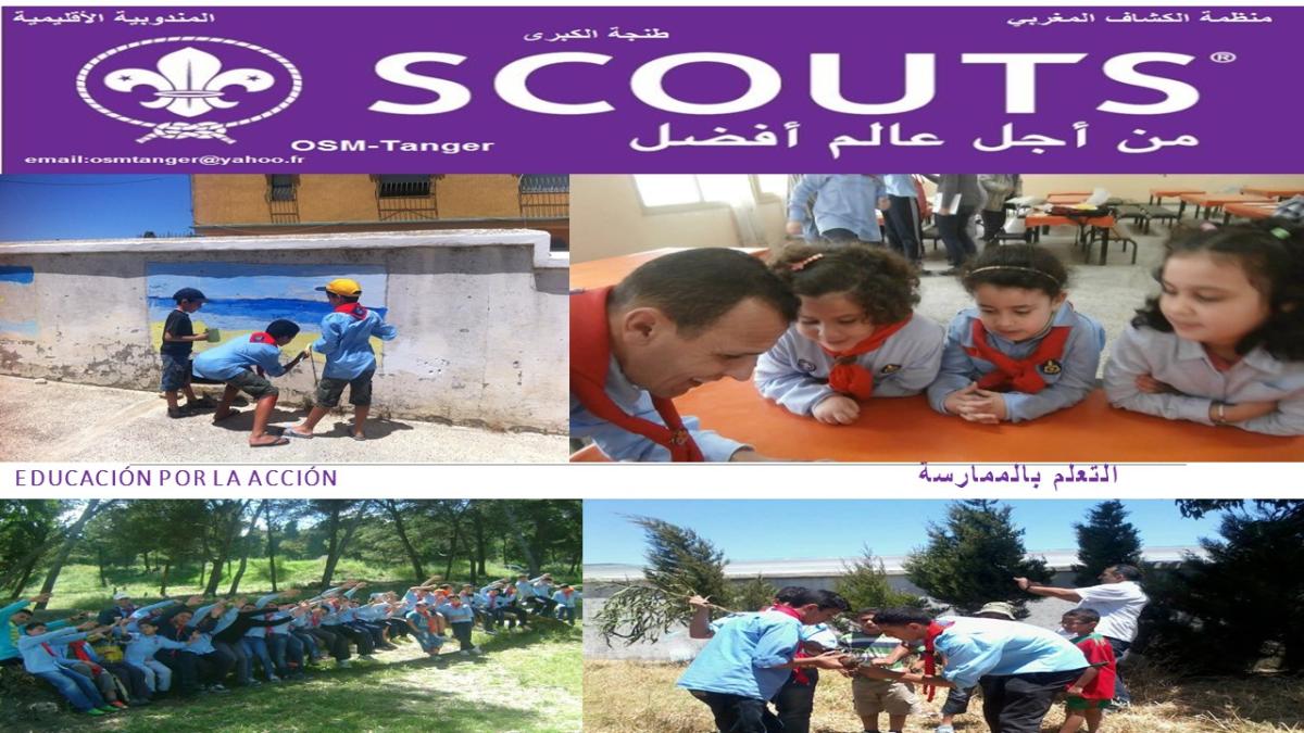 الطريقة الكشفية-التعلم بالممارسة