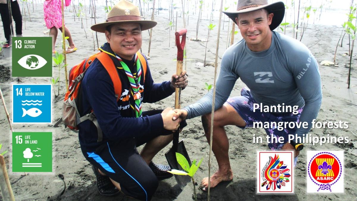 Planting the mangrove trees at the beach of Davao, The Philippines