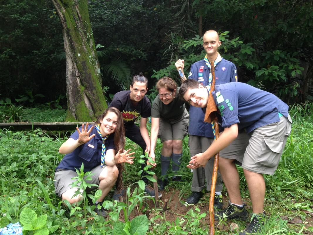 Plantio de Árvores - Trees For The World (MoP)