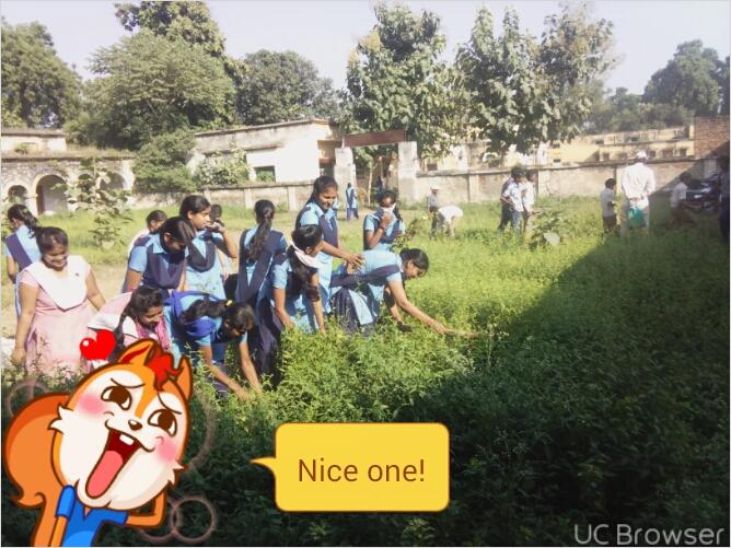 sanitation work