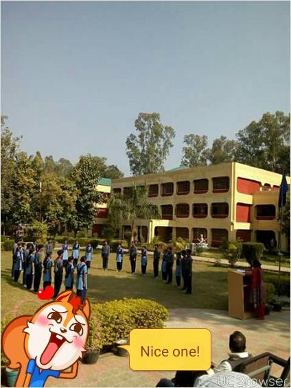 Celebration of flag day.