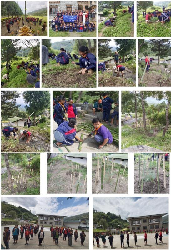 Trees for Peace, RCS-2