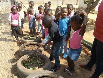 Tikwemkhono