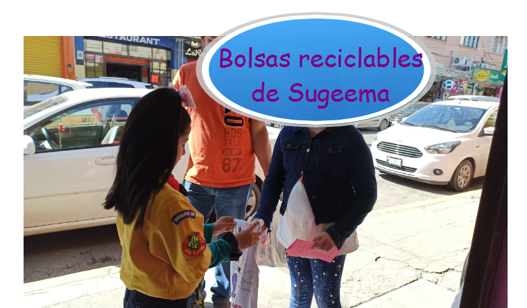 Bolsas reciclables de Sugeema