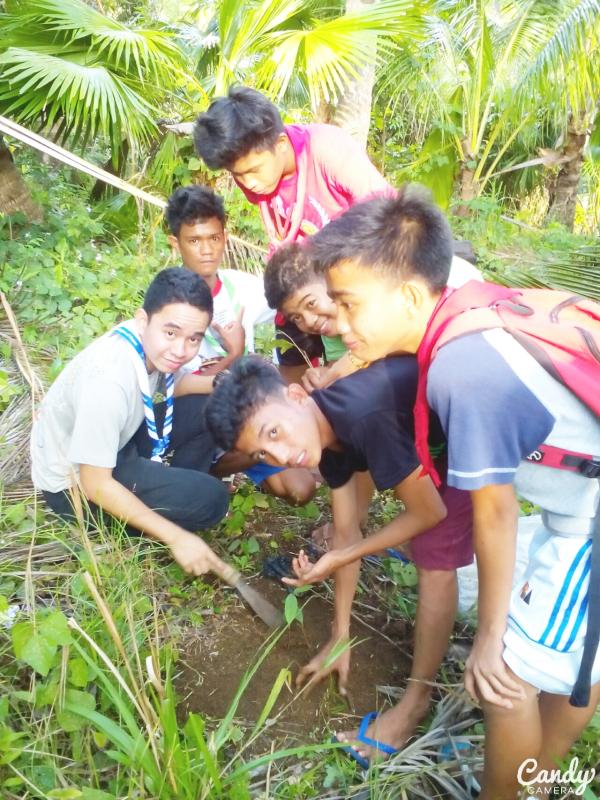 Tree Planting