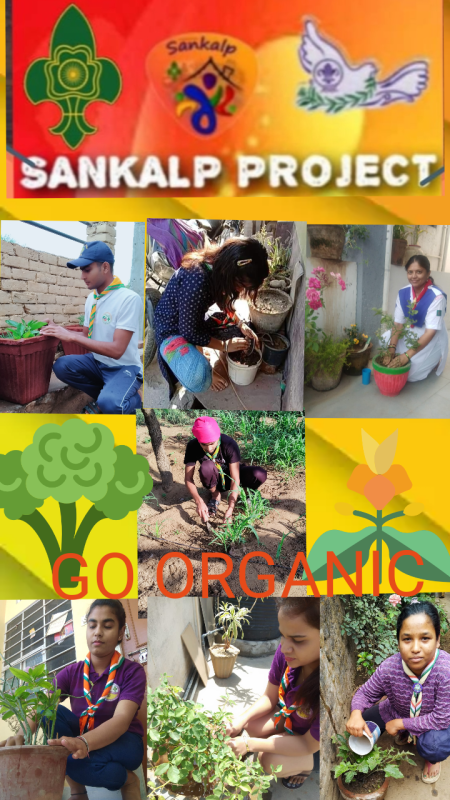 SANKALP PROJECT Section B# Environment and sustainability Challenge 4 th Goorganic