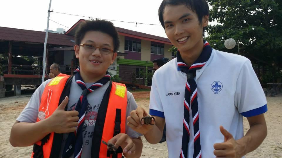 Hawkbill Turtles release