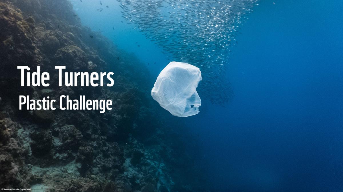 Plastic Tide Turners challenge 
