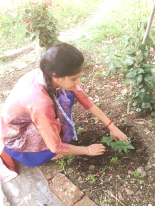 grow organic
