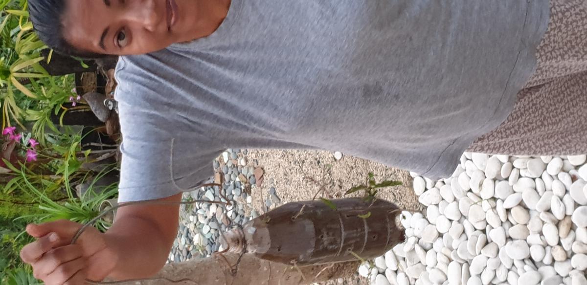 USED BOTTLE PLANTING