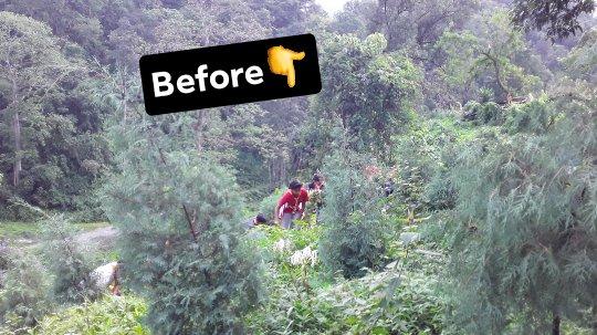 Clean environment for better world