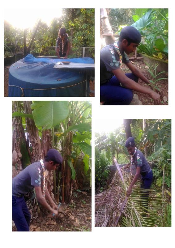 COMMUNITY DEVELOPMENT PROJECT