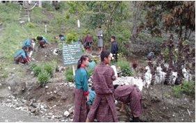 Making Of The Scout DEN         