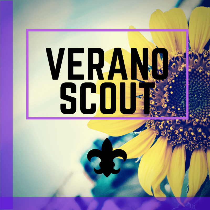 Curso de Verano Scout