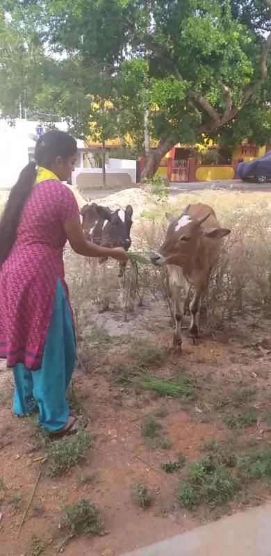 TEJASHREE N