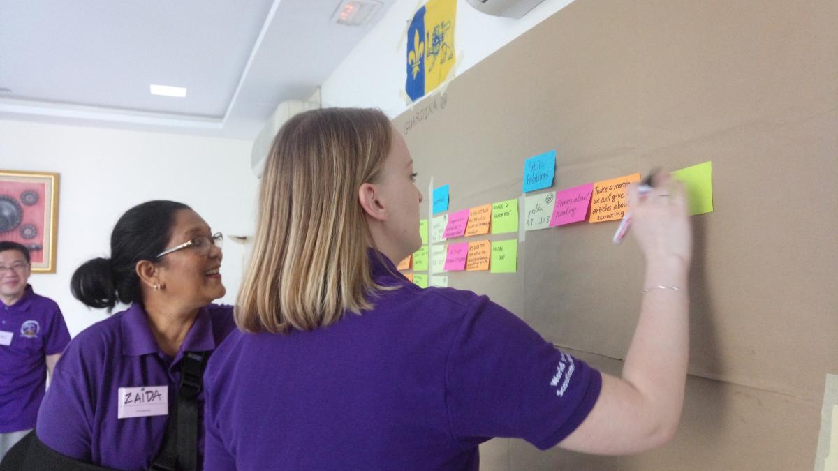 WOSM Consultants Training 