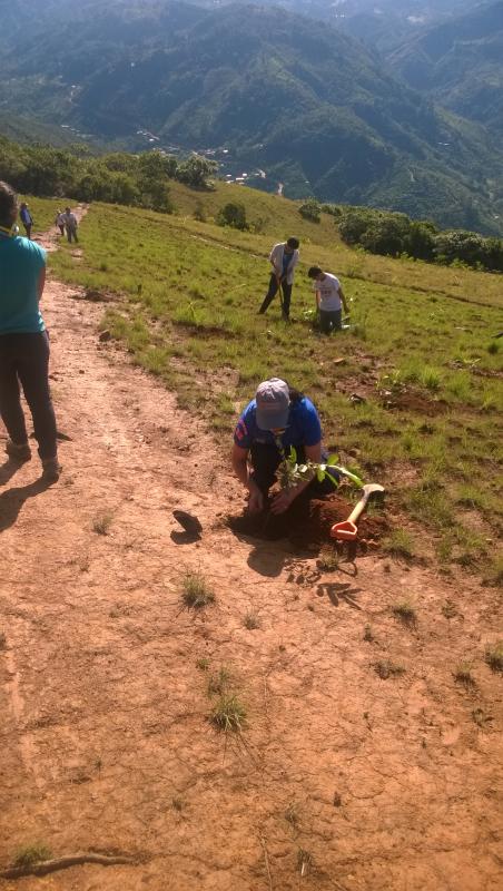Reforestación Cerro la Cruz 