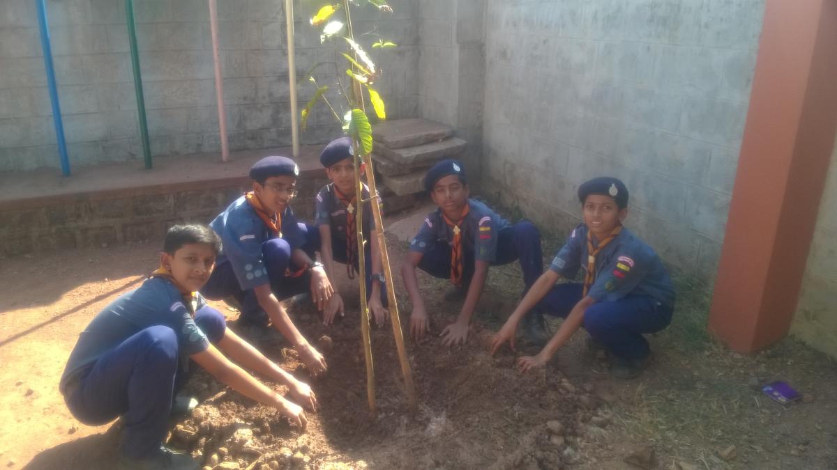 Building A Sustainable World