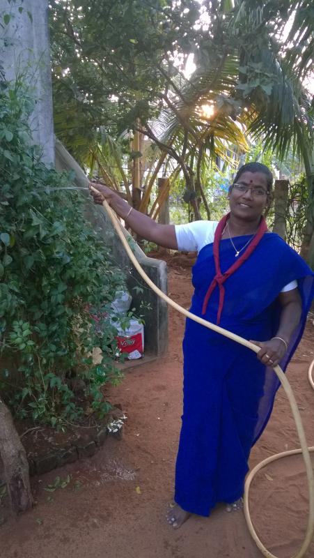Tree  plantation 