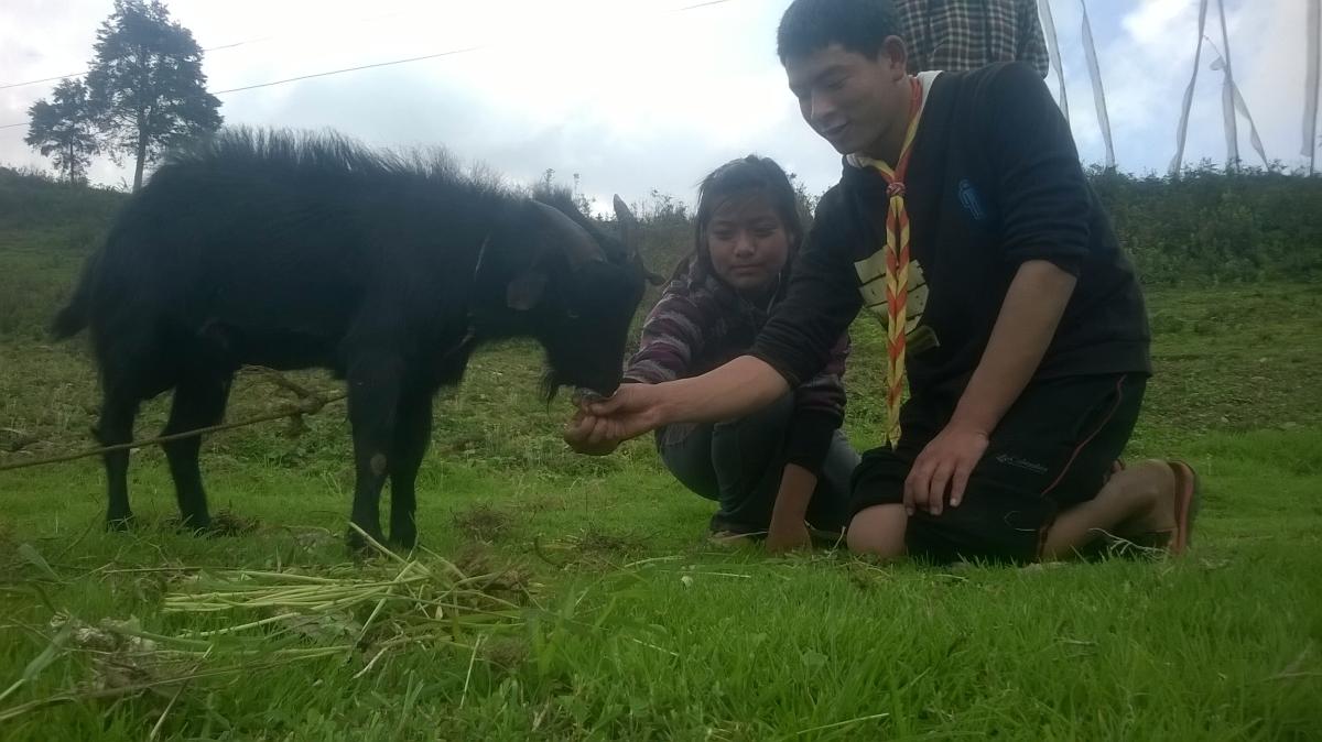 Love of a scout for animals.