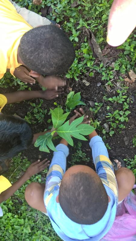 PEACE WHILE PLANTING TREES