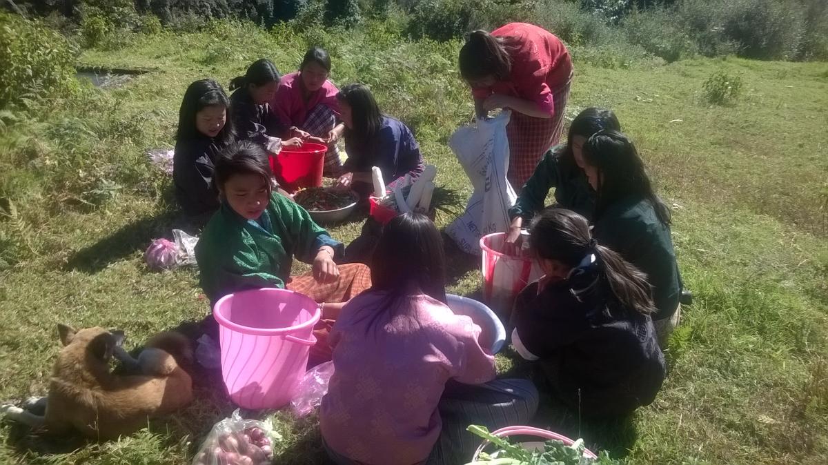 Class picnic 
