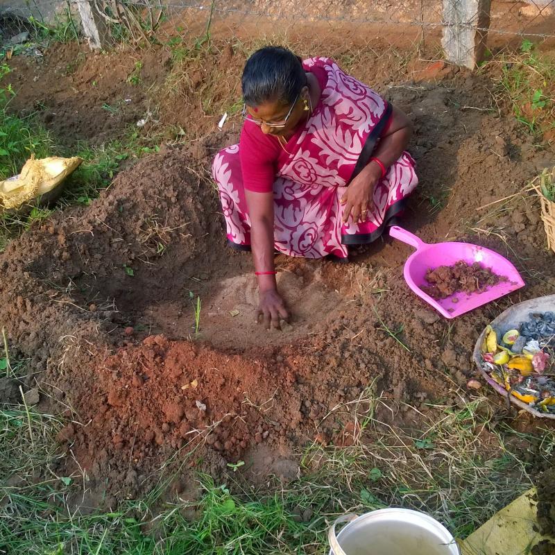 Vermi compost 