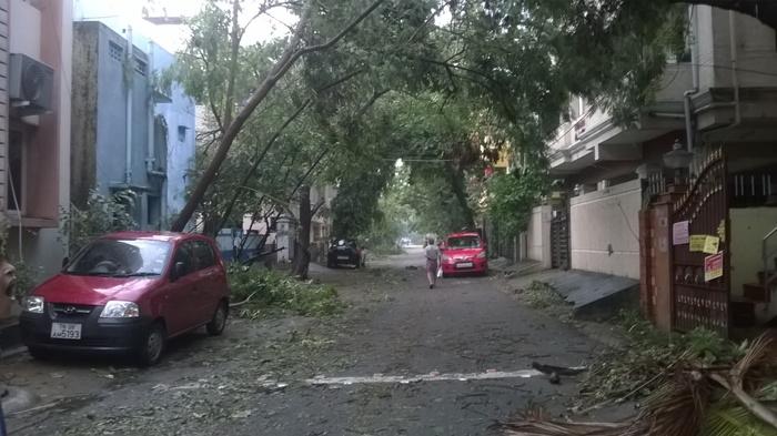 SERVICE DURING VARTHA CYCLONE