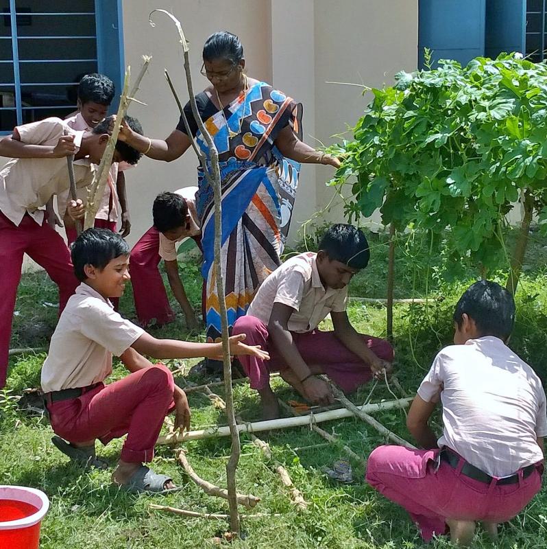 Kitchen  Garden 