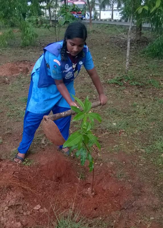 Ensure environmental sustainability. 