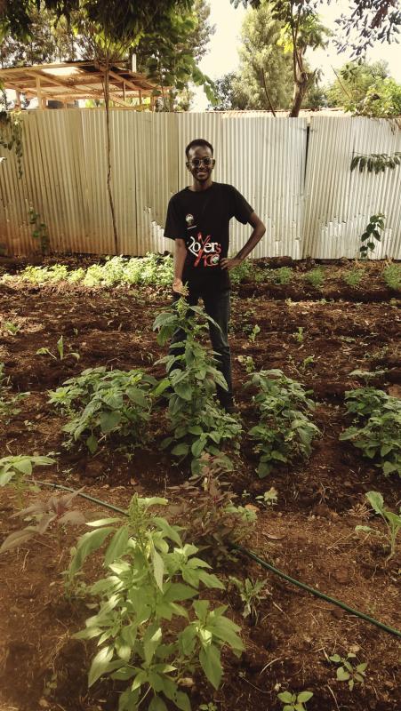 All Year Through Green Garden 