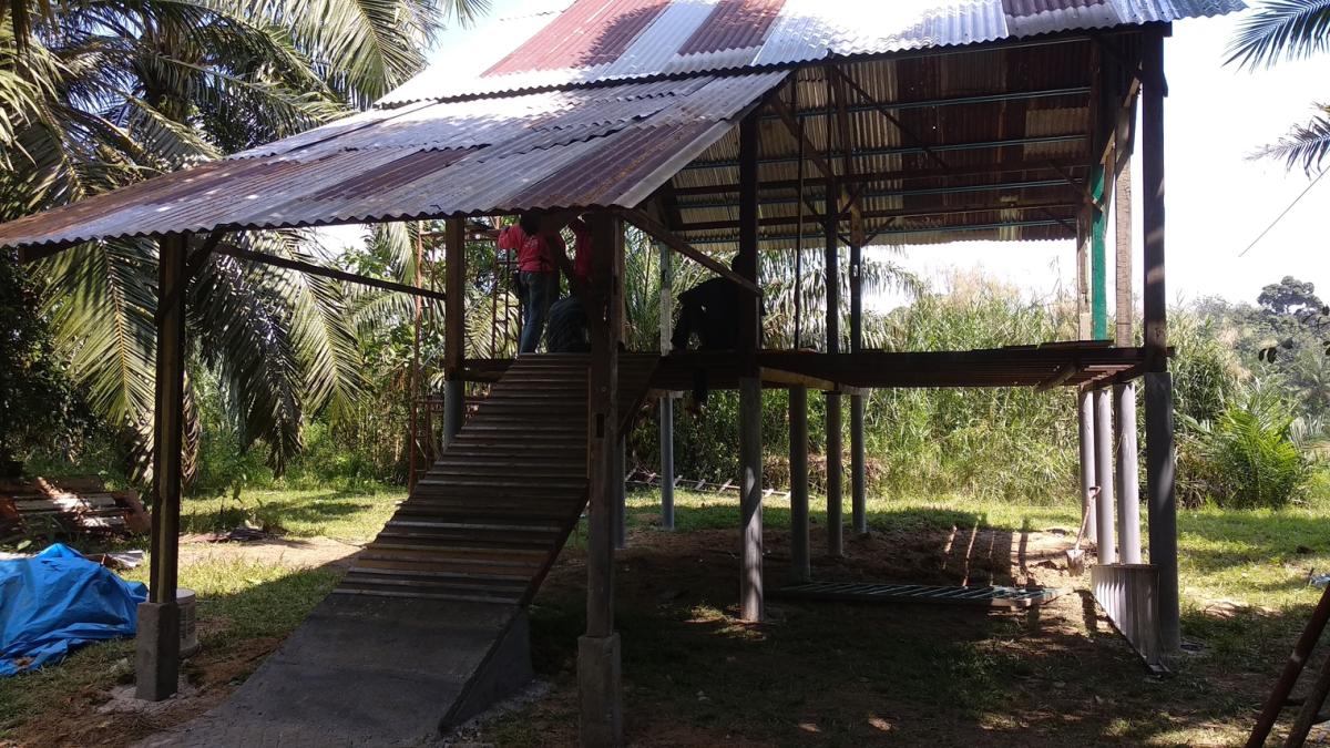 (Misa Island Goat Project: Update 14) Sambungan Kerja Pemasangan Atap