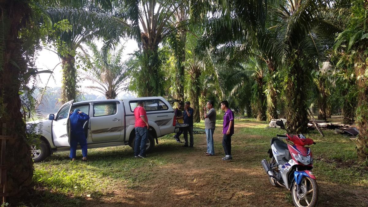 (Misa Island Goat Project: Update 19) Suntikan Vaksin & Khidmat Nasihat