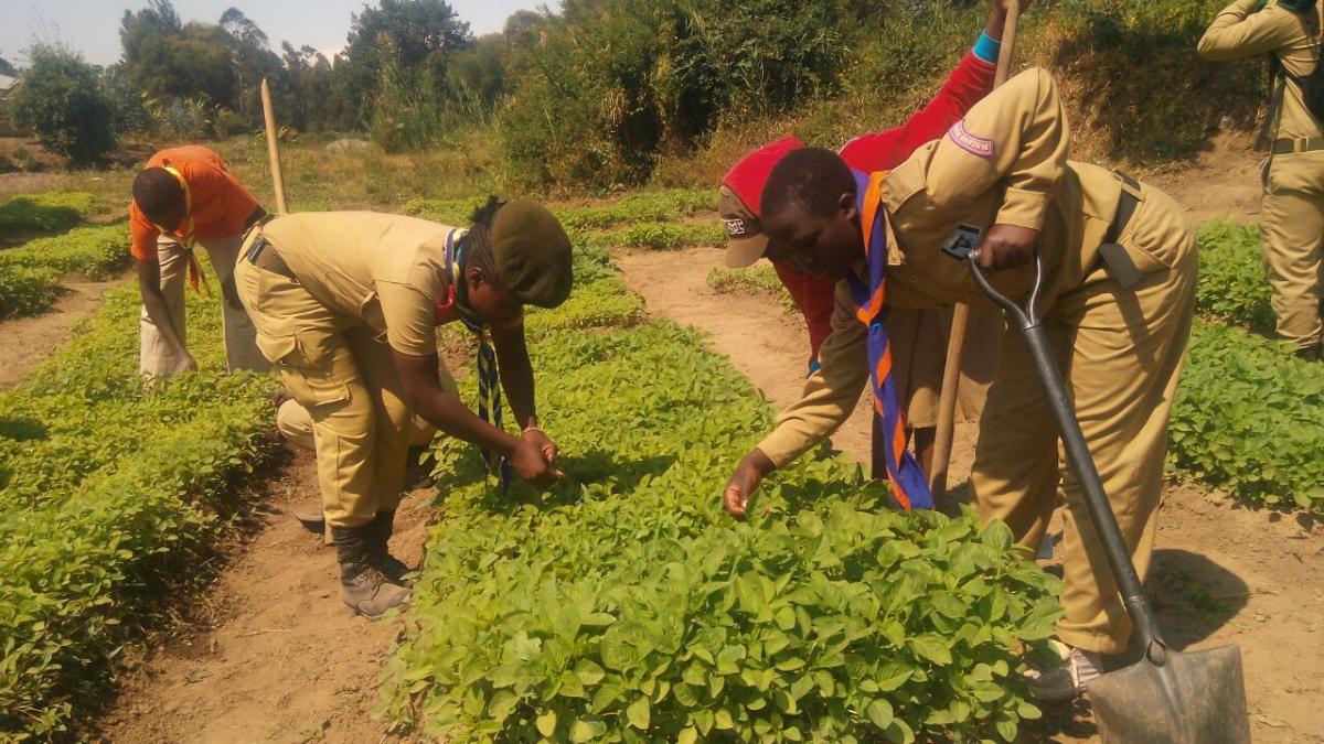 FOOD FOR LIFE AND THE FUTURE OF AGRICULTURE - TANZANIA