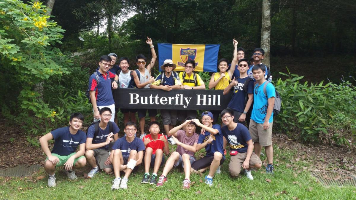 Removal of Invasive Plant Species from Pulau Ubin's Butterfly Hill, Singapore