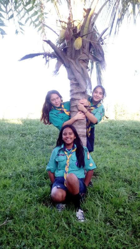 Plantas Endemicas