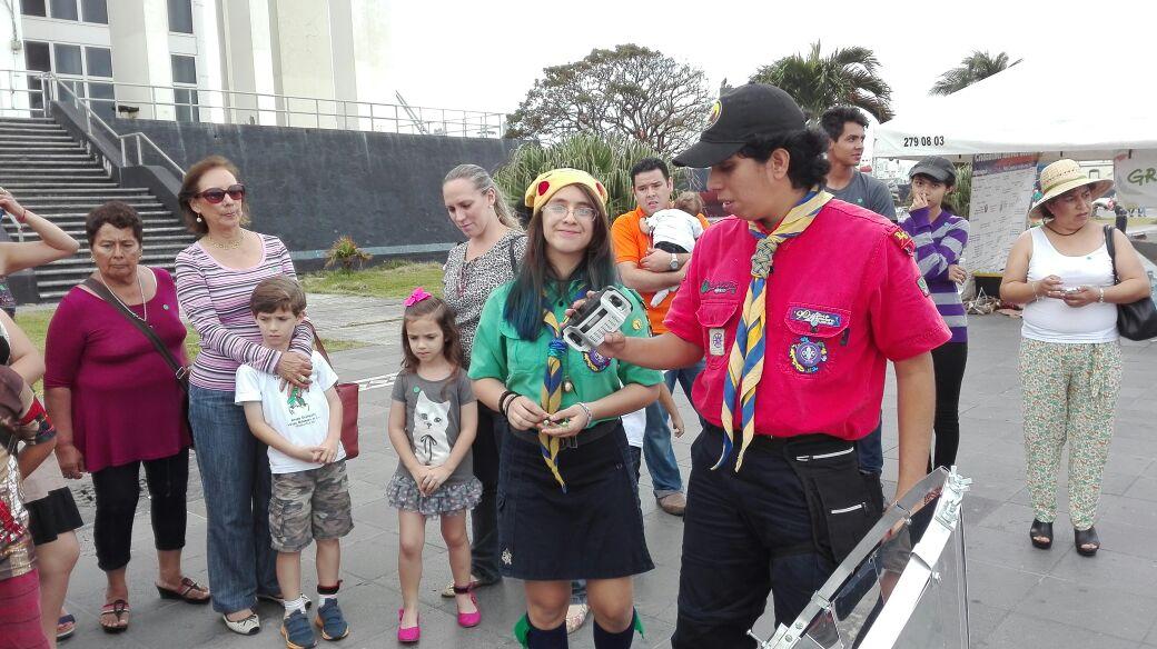 Servicio a Greenpeace