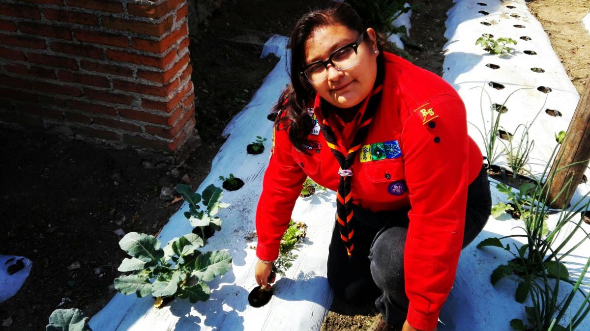  En Armonía con el ambiente(casa sustentable)