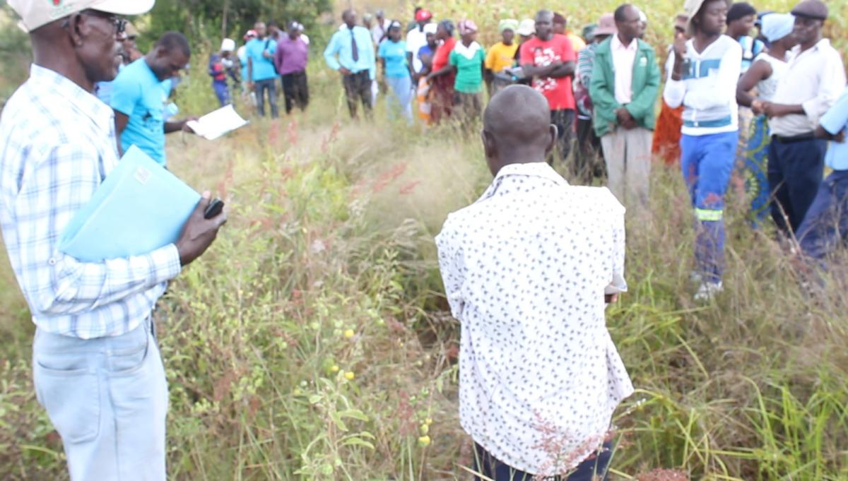Water Harvesting Project in Marange area 
