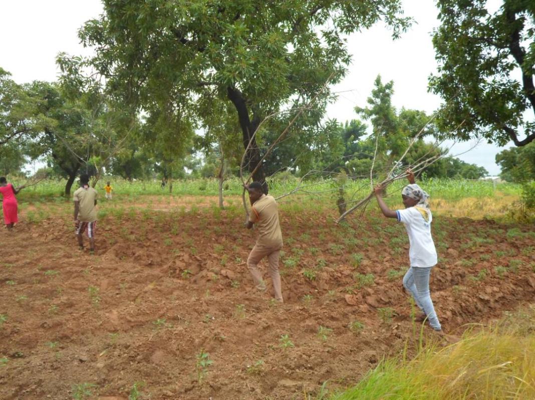 FOOD FOR LIFE PROJECT