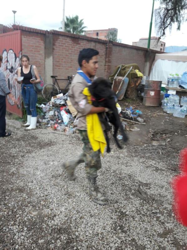 Refugio de perritos para Tiquipaya