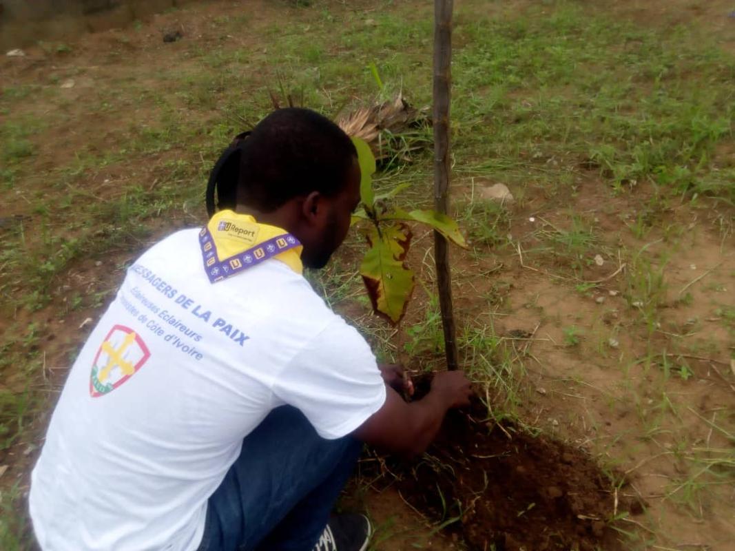Cote d'Ivoire:Journée internationale Nelson Mandela suivie d'un Planting d'arbre