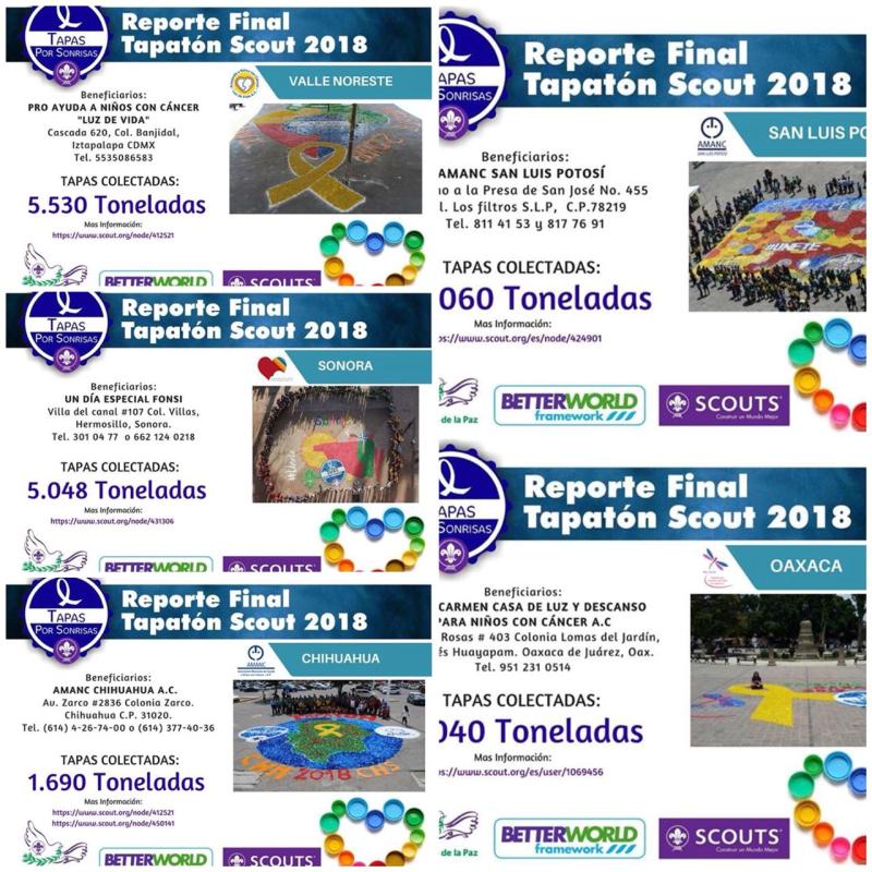 TAPATON SCOUT MEXICO 2018 (SUBCOORDIANCION NACIONAL)