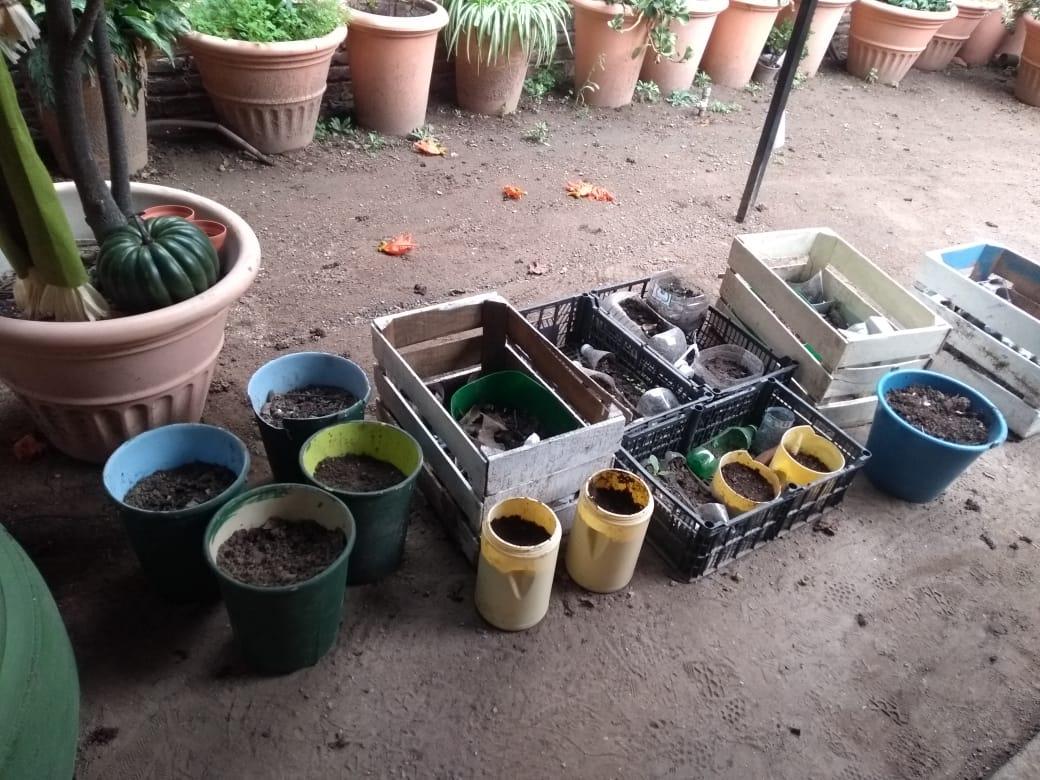 Scouts del Mundo; Proyecto "Todo Compostable"