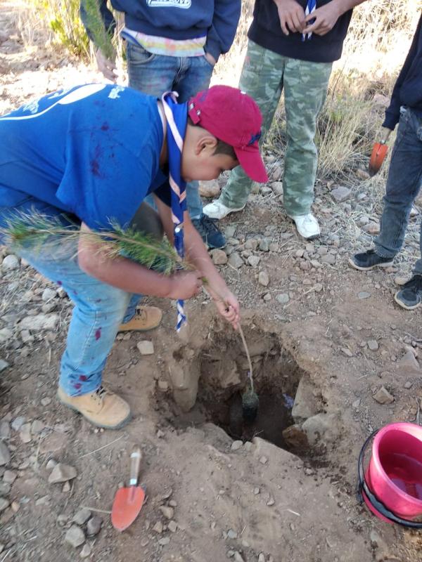 Apoyo campo escuela arani - reforestación 