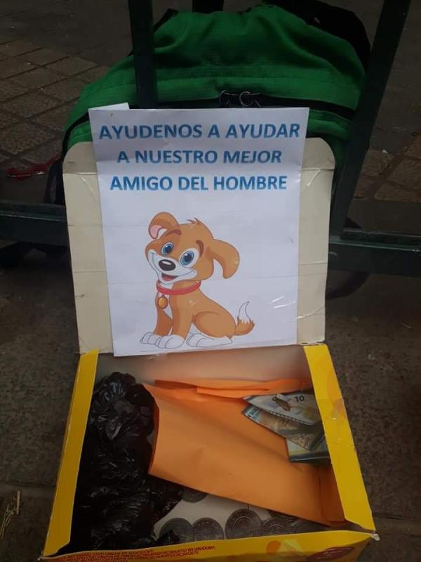 Ayudemos a ayudar a nuestro mejor amigo del hombre