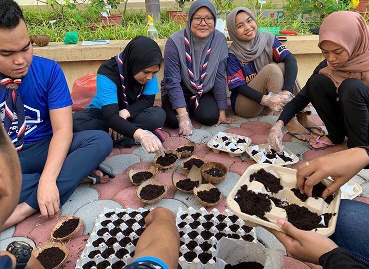 Organic Garden 