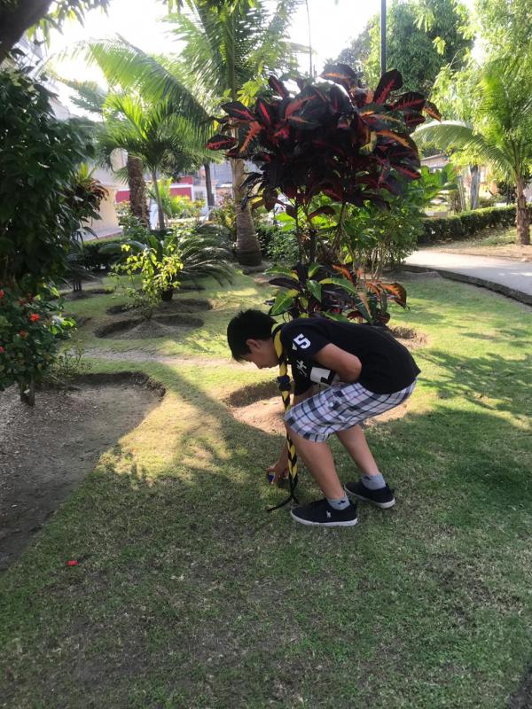 TAPATON 2019 DISTRITO CRUZ DEL SUR